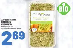Metro GERMES DE LUZERNE BIOLOGIQUES AQUA FUCHSIA | AQUA FUCHSIA ORGANIC ALFALFA SPROUTS offer
