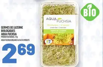 Metro GERMES DE LUZERNE BIOLOGIQUES AQUA FUCHSIA | AQUA FUCHSIA ORGANIC ALFALFA SPROUTS offer