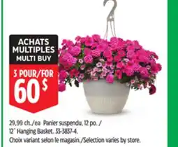 Canadian Tire 12˝ Hanging Basket offer