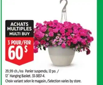 Canadian Tire 12˝ Hanging Basket offer