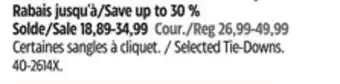 Canadian Tire Motomaster Selected Tie-Downs offer