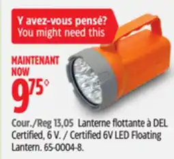 Canadian Tire Certified 6V LED Floating Lantern offer