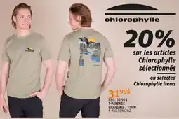 Go Sport CHLOROPHYLLE T-PAYSAGE CHANDAIL offer