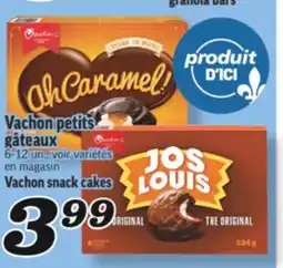 Marché Richelieu VACHON PETITS GÂTEAUX | VACHON SNACK CAKES offer