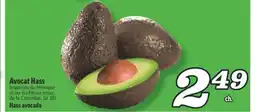 Marché Richelieu AVOCAT HASS | HASS AVOCADO offer