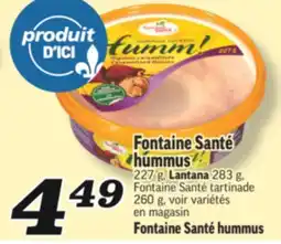 Marché Richelieu FONTAINE SANTÉ HUMMUS | FONTAINE SANTÉ HUMMUS offer