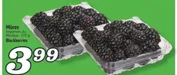 Marché Richelieu MÛRES | BLACKBERRIES offer