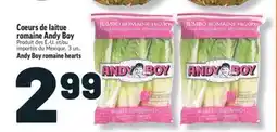 Marché Richelieu COEURS DE LAITUE ROMAINE ANDY BOY | ANDY BOY ROMAINE HEARTS offer
