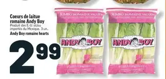 Marché Richelieu COEURS DE LAITUE ROMAINE ANDY BOY | ANDY BOY ROMAINE HEARTS offer