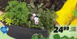 IGA HERB COMBO offer