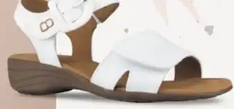 Chaussures Pop ULTIME CONFORT BISMUTI offer