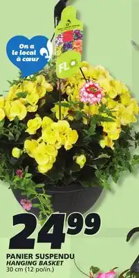 IGA HANGING BASKET offer