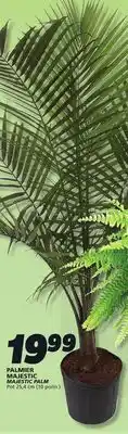 IGA PALMIER MAJESTIC MAJESTIC PALM offer
