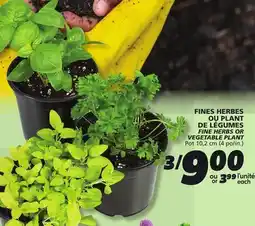 IGA FINE HERBS OR VEGETABLE PLANT offer
