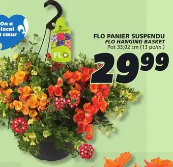 IGA FLO HANGING BASKET offer