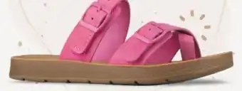 Chaussures Pop Alberto ADEKAUDE offer
