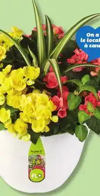 IGA PATIO FLOWER ARRANGEMENT offer