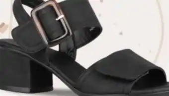 Chaussures Pop Alberto AGUILOCHO offer