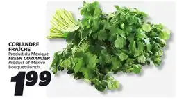 IGA FRESH CORIANDER offer