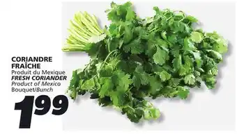 IGA FRESH CORIANDER offer
