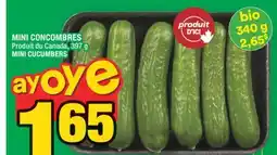 Super C MINI CONCOMBRES | MINI CUCUMBERS offer