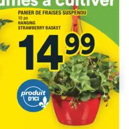 Super C PANIER DE FRAISES SUSPENDU | HANGING STRAWBERRY BASKET offer