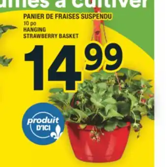 Super C PANIER DE FRAISES SUSPENDU | HANGING STRAWBERRY BASKET offer