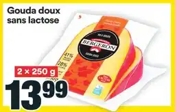 Super C GOUDA DOUX SANS LACTOSE offer