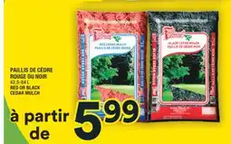 Super C PAILLIS DE CÈDRE ROUGE OU NOIR | RED OR BLACK CEDAR MULCH offer