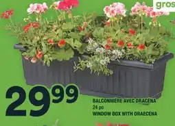 Super C BALCONNIÈRE AVEC DRACÉNA offer