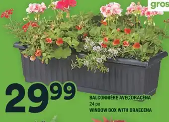 Super C BALCONNIÈRE AVEC DRACÉNA offer