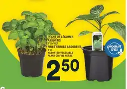 Super C PLANT DE LÉGUMES ASSORTIS | FINES HERBES ASSORTIES | ASSORTED VEGETABLE PLANT OR FINE HERBS offer