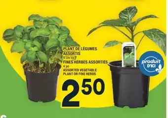 Super C PLANT DE LÉGUMES ASSORTIS | FINES HERBES ASSORTIES | ASSORTED VEGETABLE PLANT OR FINE HERBS offer