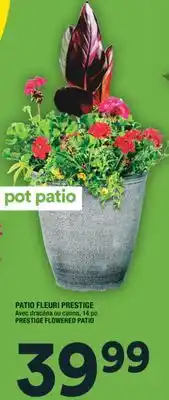 Super C PATIO FLEURI PRESTIGE | PRESTIGE FLOWERED PATIO offer