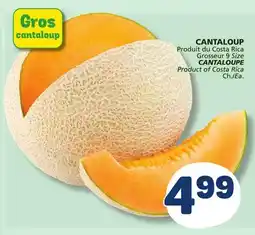 Marché Bonichoix CANTALOUPE offer