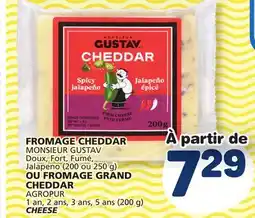 Marché Bonichoix MONSIEUR GUSTAV (200 or 250 g) OR AGROPUR CHEESE offer