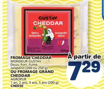 Marché Bonichoix MONSIEUR GUSTAV (200 or 250 g) OR AGROPUR CHEESE offer