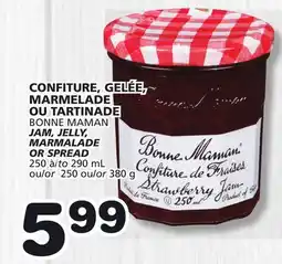 Marches Tradition BONNE MAMAN JAM, JELLY, MARMALADE OR SPREAD offer