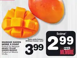 Marches Tradition READY TO EAT HADEN MANGO offer