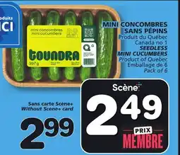 Marches Tradition SEEDLESS MINI CUCUMBERS offer