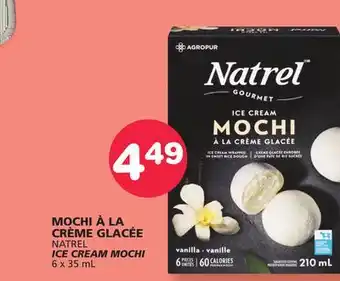 Marches Tradition NATREL ICE CREAM offer