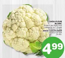 Marches Tradition WHITE CAULIFLOWER offer