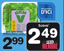 Marches Tradition GEN V GREENHOUSE LIVING BUTTER LETTUCE offer