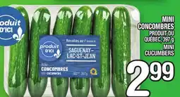 Marche Ami MINI CONCOMBRES | MINI CUCUMBERS offer