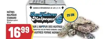 Marché Adonis HUÎTRES MALPÊQUE STANDARD | MALPÊQUE OYSTERS offer