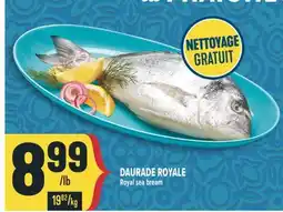 Marché Adonis DAURADE ROYALE | ROYAL SEA BREAM offer