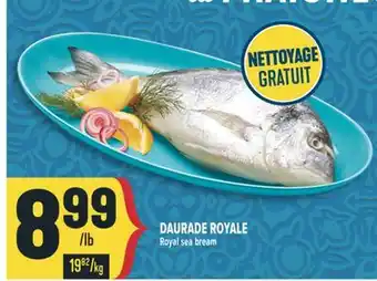 Marché Adonis DAURADE ROYALE | ROYAL SEA BREAM offer
