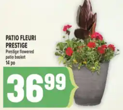 Marché Adonis PATIO FLEURI PRESTIGE | PRESTIGE FLOWERED PATIO BASKET offer