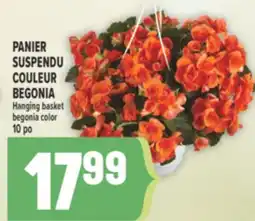 Marché Adonis PANIER SUSPENDU COULEUR BEGONIA | HANGING BASKET BEGONIA COLOR offer