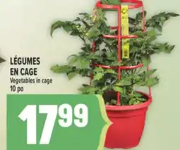 Marché Adonis LÉGUMES EN CAGE | VEGETABLES IN CAGE offer